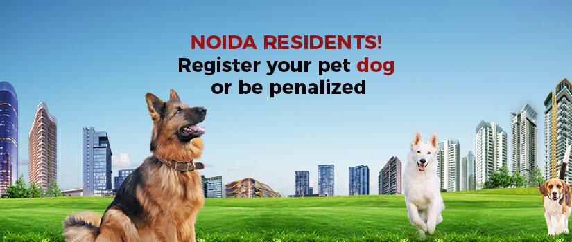 Noida residents! Register your pet dog to Noida Authority or be ready to be penalized. Details Below: