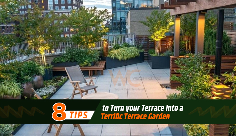 8 Tips to Turn your Terrace into a Terrific Terrace Garden